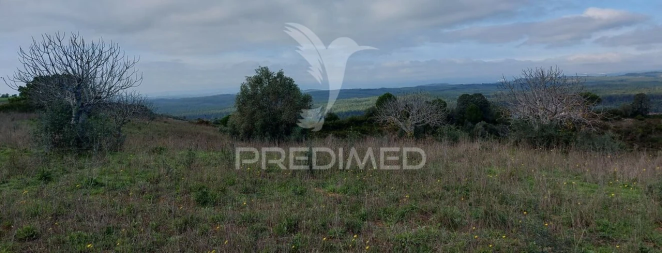 Terreno para Venda em Arneiro das Milhariças Foto 13