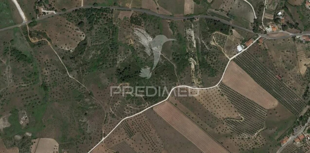 Terreno para Venda em Arneiro das Milhariças Foto 23