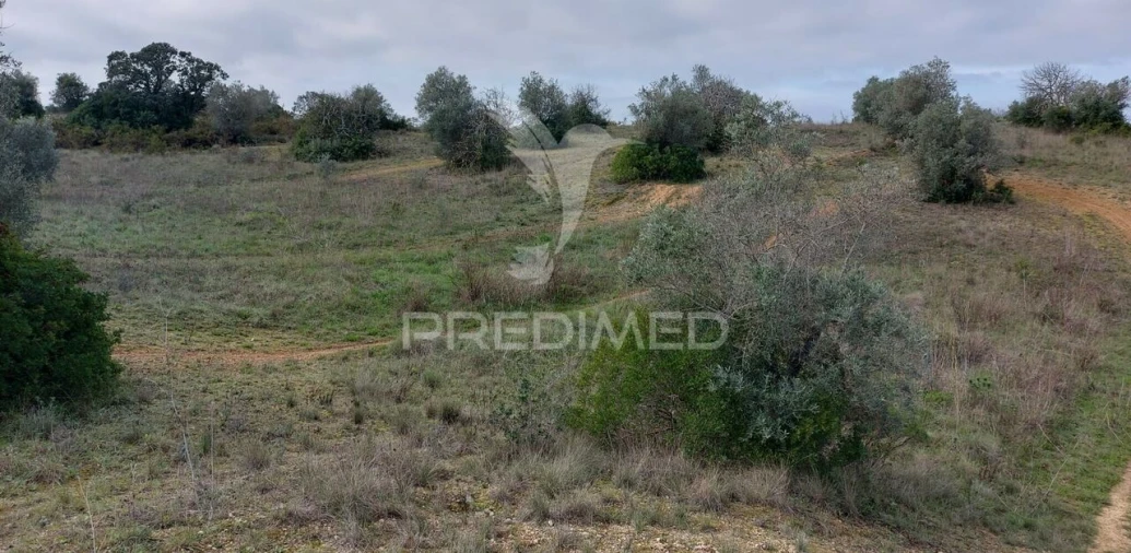 Terreno para Venda em Arneiro das Milhariças Foto 7