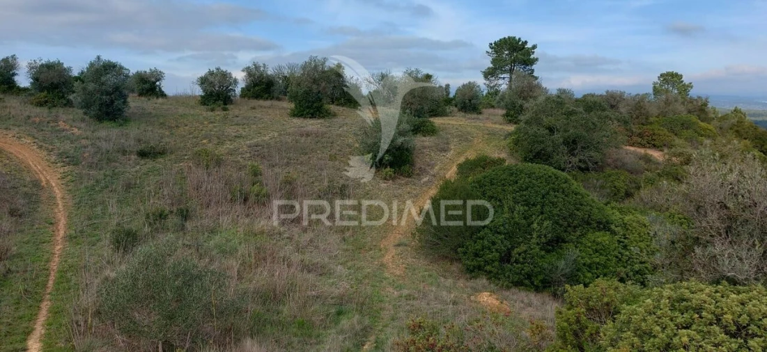 Terreno para Venda em Arneiro das Milhariças Foto 6