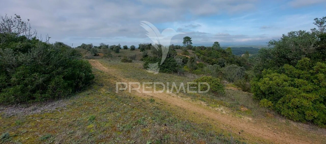 Terreno para Venda em Arneiro das Milhariças Foto 15