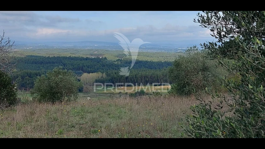 Terreno para Venda em Arneiro das Milhariças