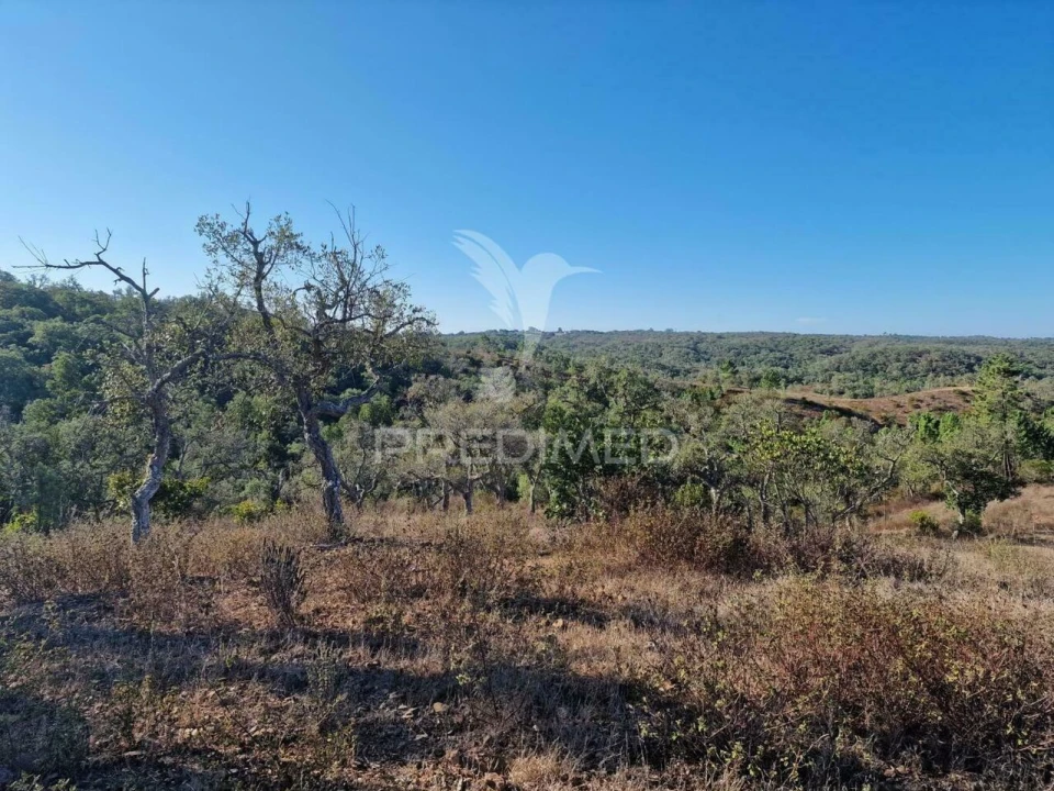 Terreno para Venda em São Francisco da Serra Foto 9