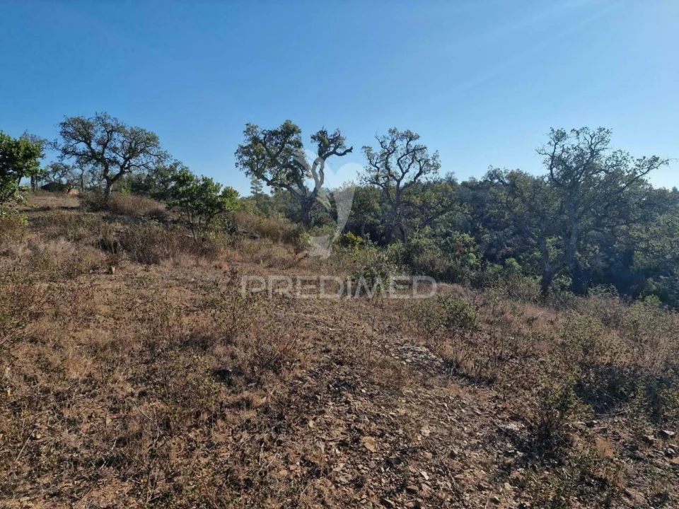 Terreno para Venda em São Francisco da Serra Foto 8