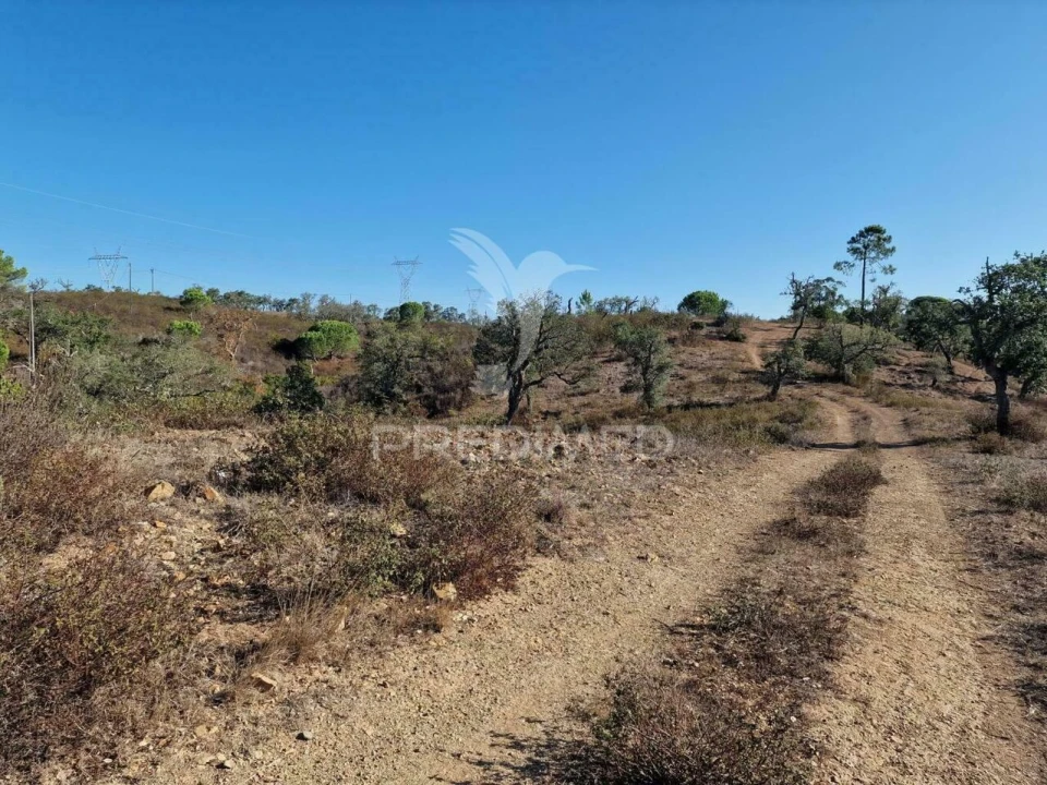 Terreno para Venda em São Francisco da Serra Foto 33
