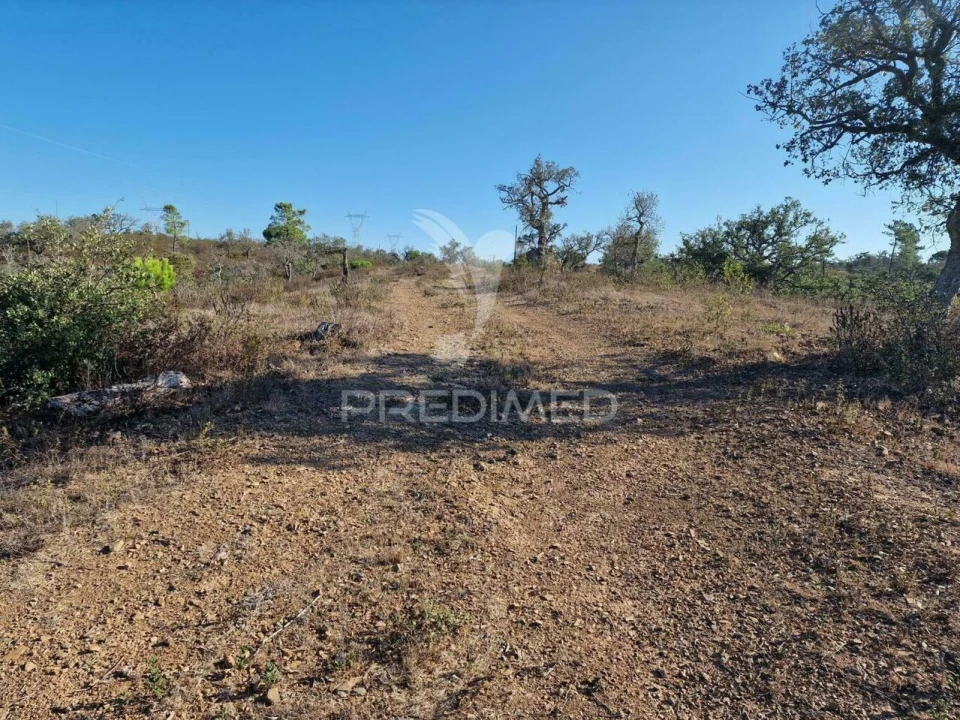 Terreno para Venda em São Francisco da Serra Foto 12