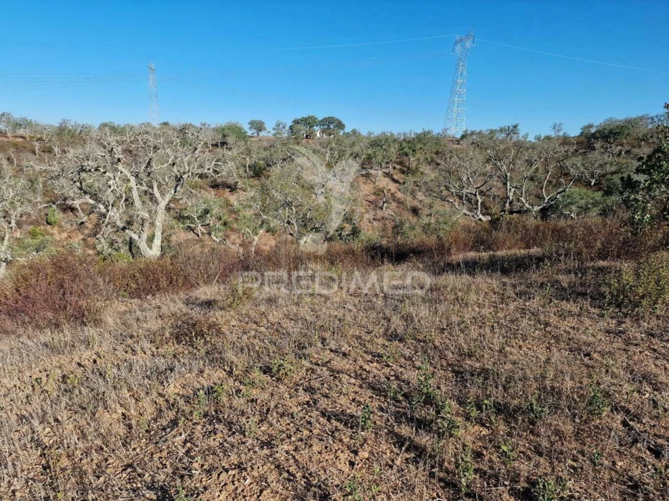 Terreno para Venda em São Francisco da Serra Foto 2