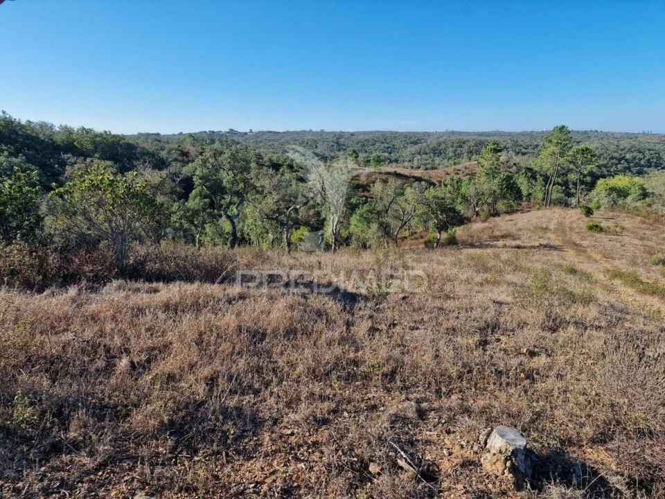 Terreno para Venda em São Francisco da Serra Foto 4