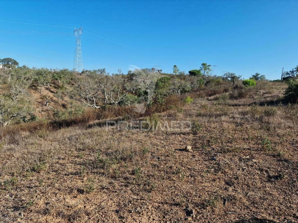Terreno para Venda em São Francisco da Serra Foto 10