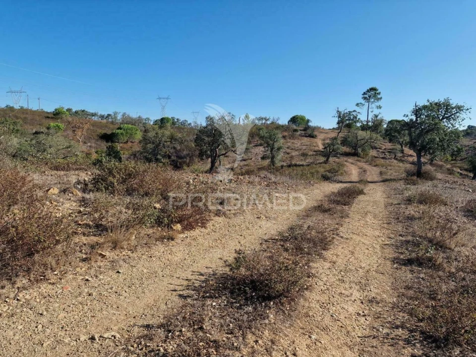 Terreno para Venda em São Francisco da Serra Foto 31