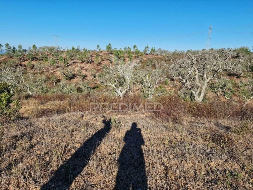 Terreno para Venda em São Francisco da Serra Foto 3
