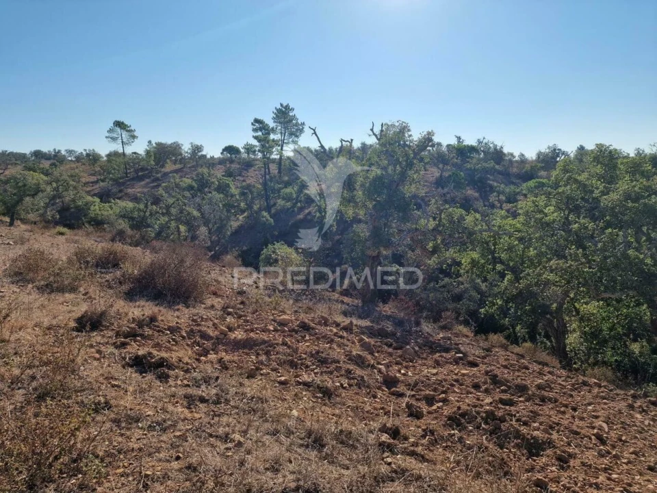 Terreno para Venda em São Francisco da Serra Foto 32