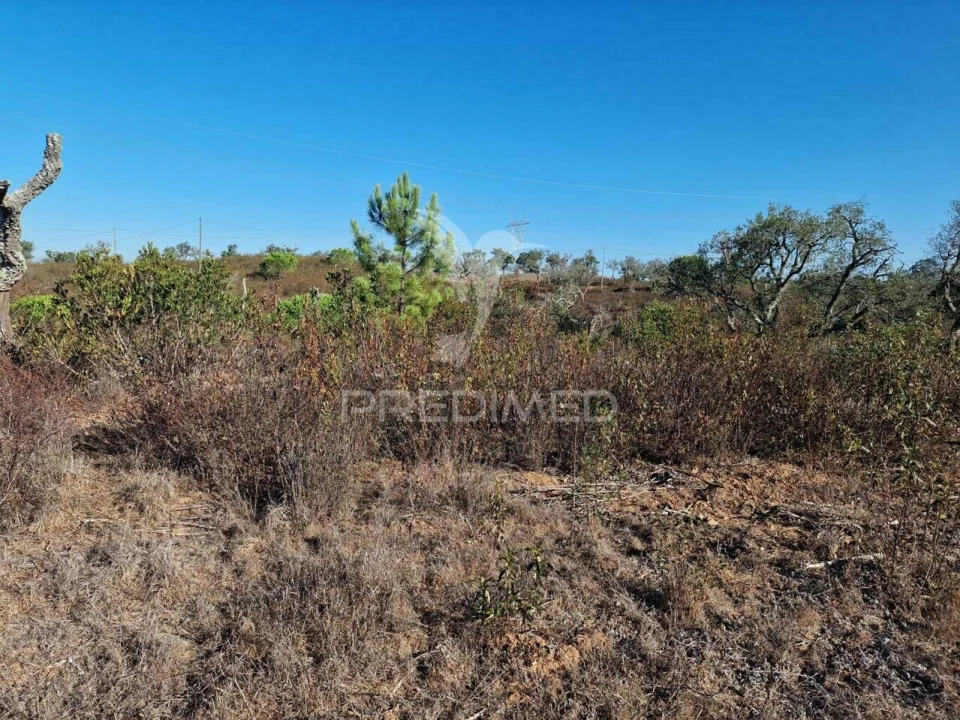 Terreno para Venda em São Francisco da Serra Foto 35