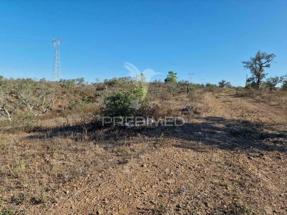 Terreno para Venda em São Francisco da Serra Foto 18