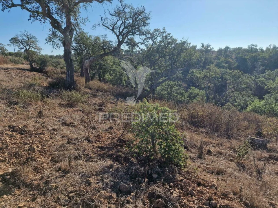Terreno para Venda em São Francisco da Serra Foto 23