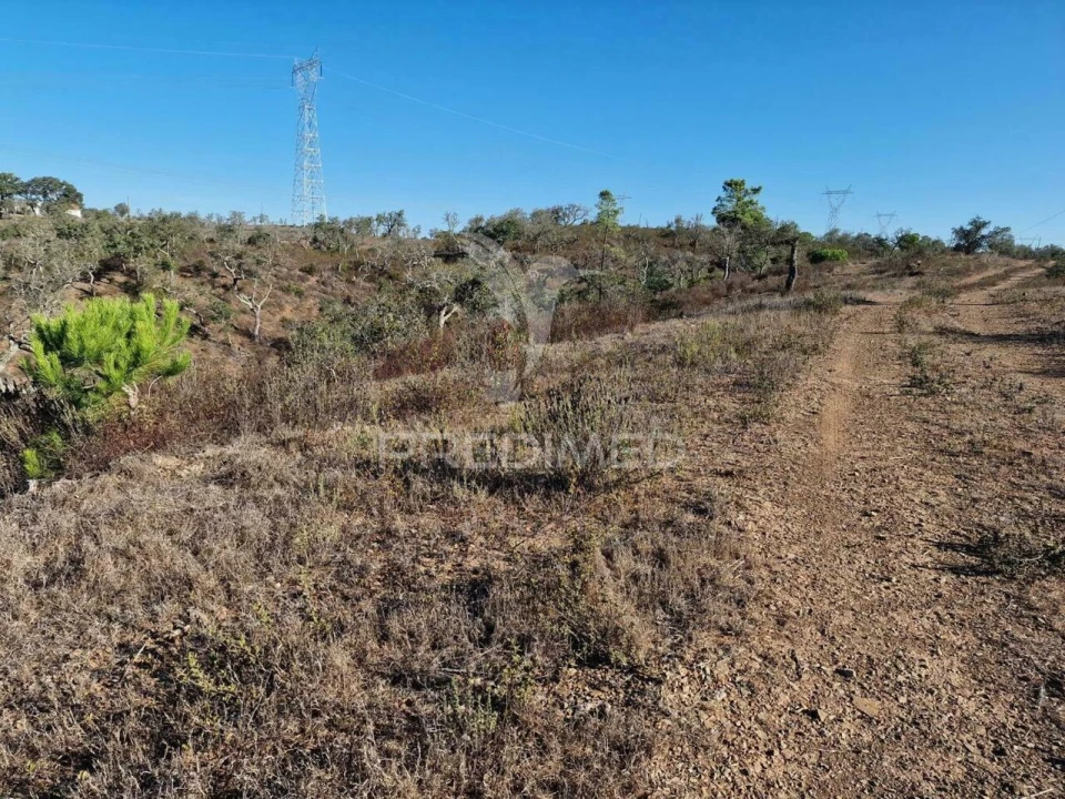 Terreno para Venda em São Francisco da Serra Foto 19
