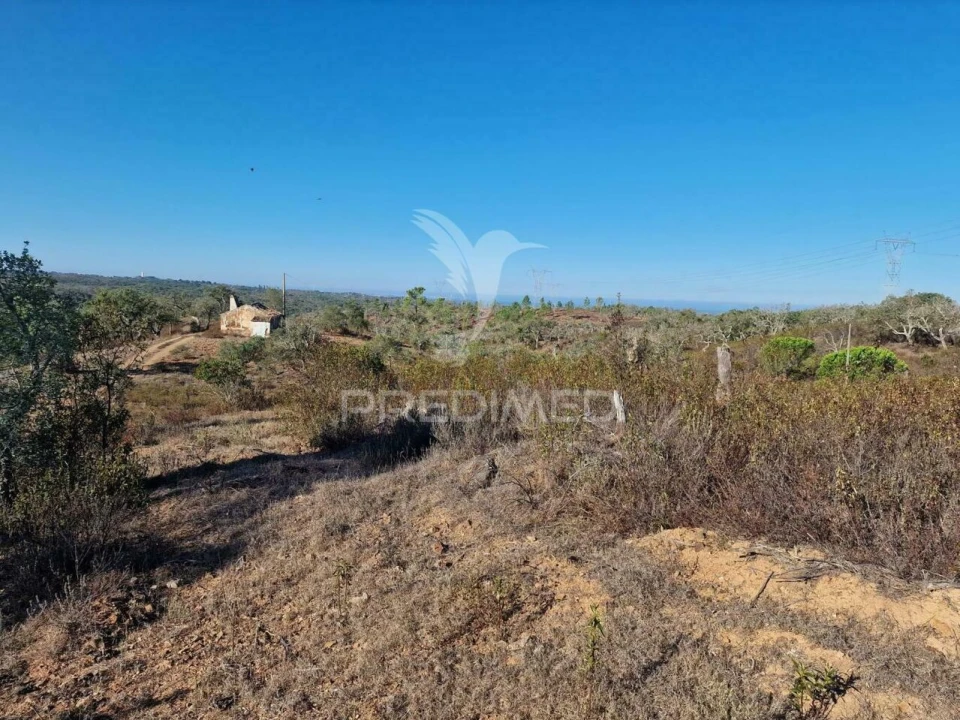Terreno para Venda em São Francisco da Serra Foto 36