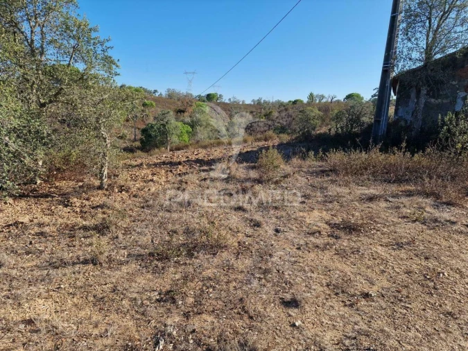 Terreno para Venda em São Francisco da Serra Foto 26