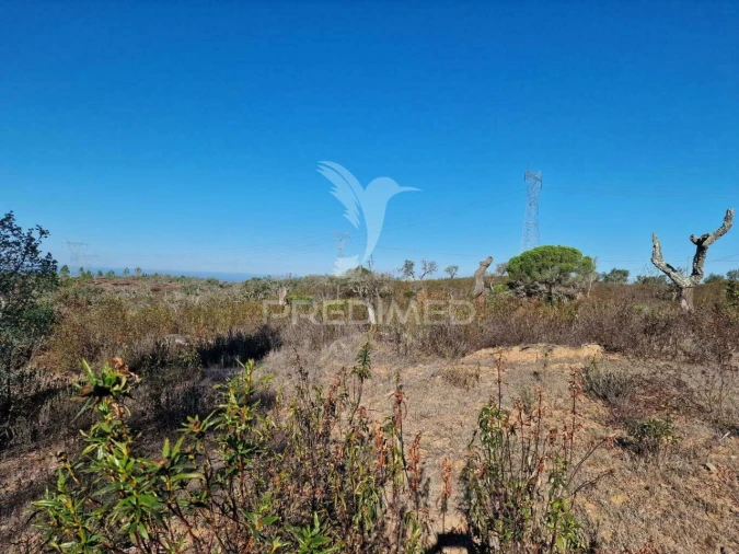 Terreno para Venda em São Francisco da Serra Foto 34