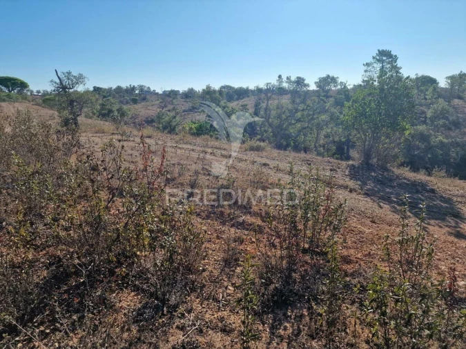 Terreno para Venda em São Francisco da Serra Foto 38