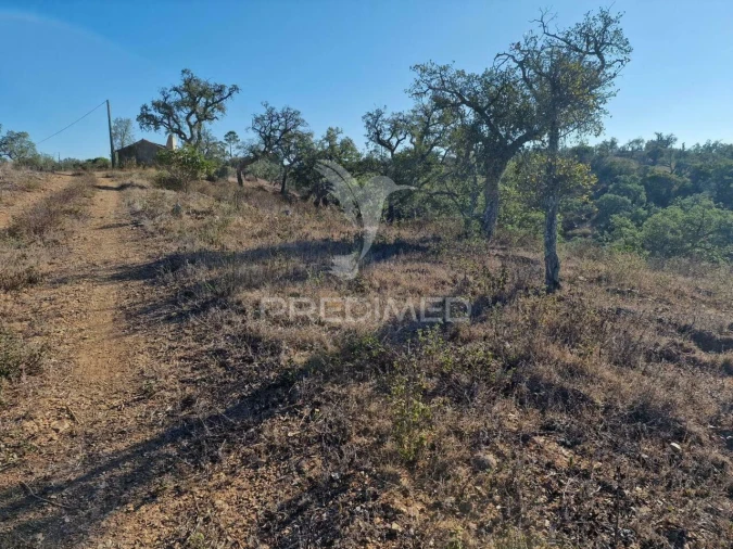 Terreno para Venda em São Francisco da Serra Foto 21
