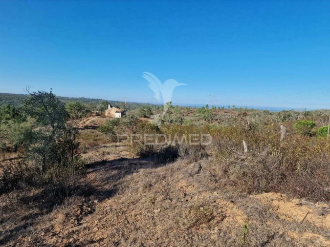 Terreno para Venda em São Francisco da Serra Foto 39
