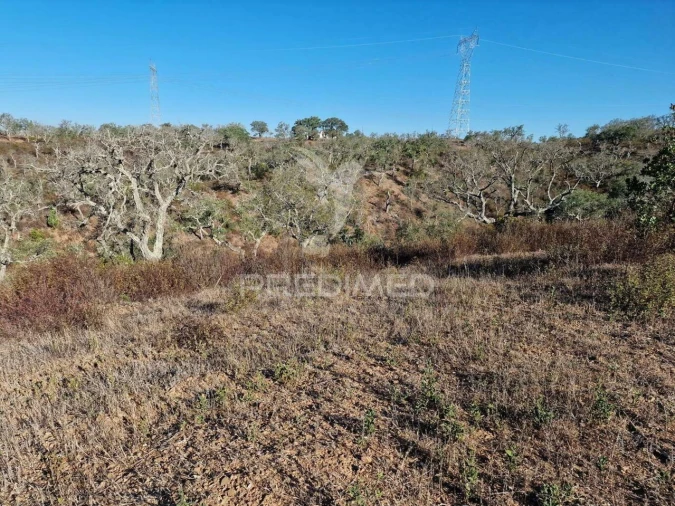 Terreno para Venda em São Francisco da Serra Foto 2