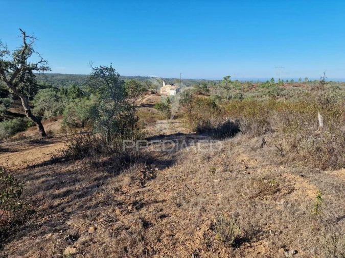 Terreno para Venda em São Francisco da Serra Foto 40