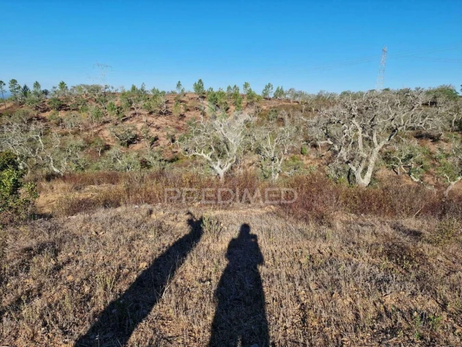 Terreno para Venda em São Francisco da Serra Foto 3