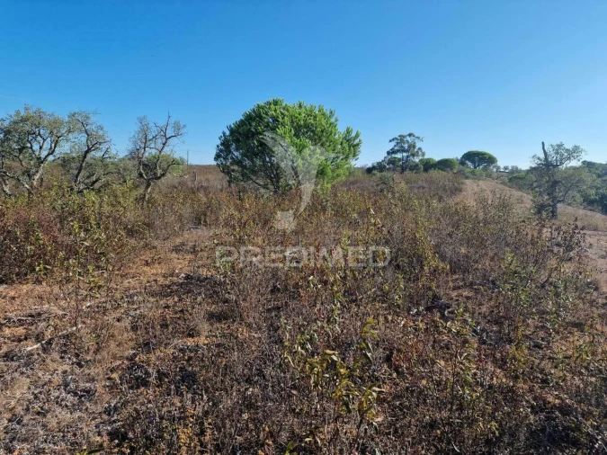 Terreno para Venda em São Francisco da Serra Foto 37