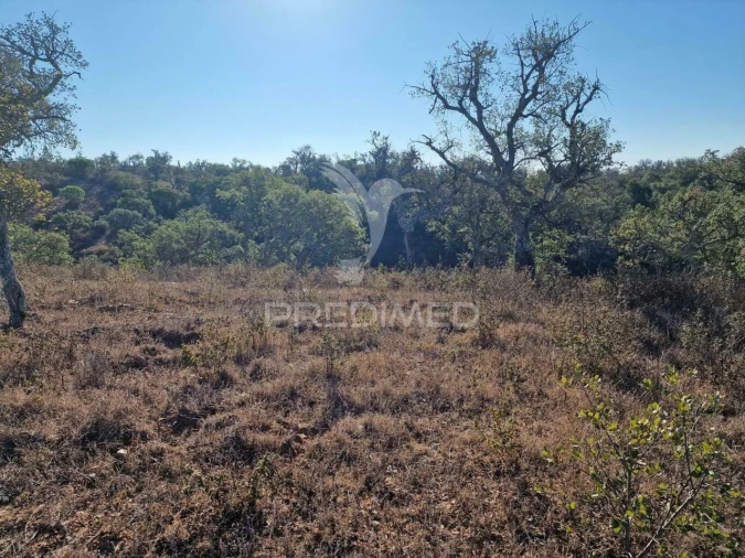Terreno para Venda em São Francisco da Serra Foto 20