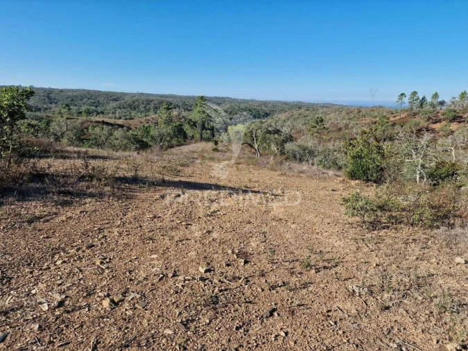 Terreno para Venda em São Francisco da Serra Foto 1
