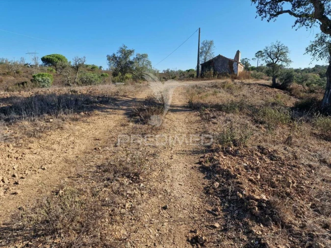 Terreno para Venda em São Francisco da Serra Foto 24