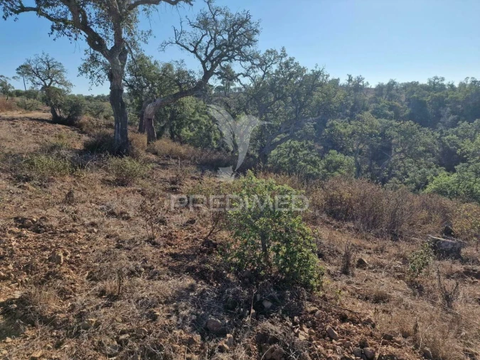 Terreno para Venda em São Francisco da Serra Foto 23