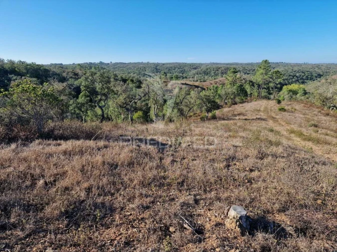 Terreno para Venda em São Francisco da Serra Foto 5