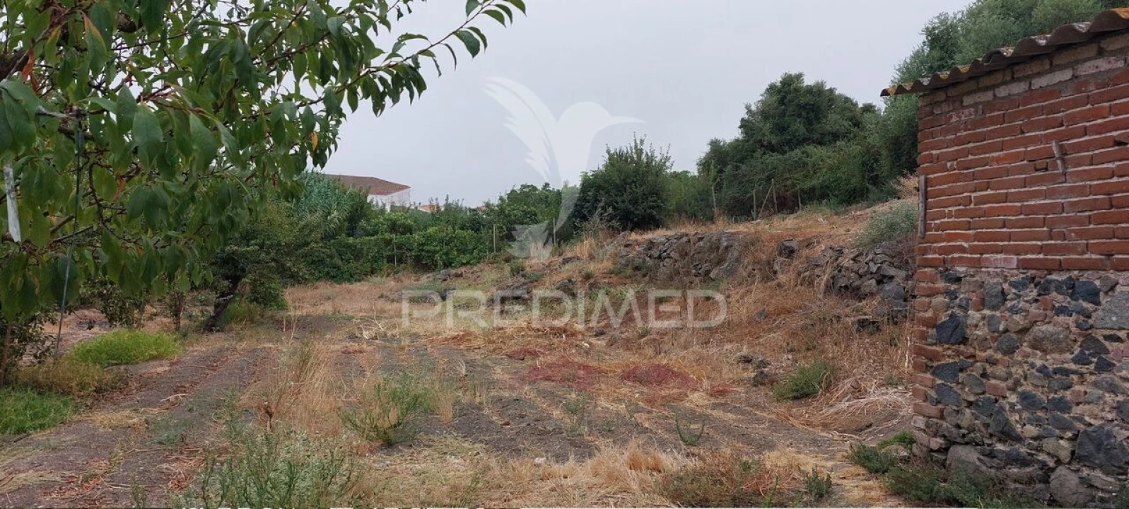 Armazém para Venda em Beringel Foto 22