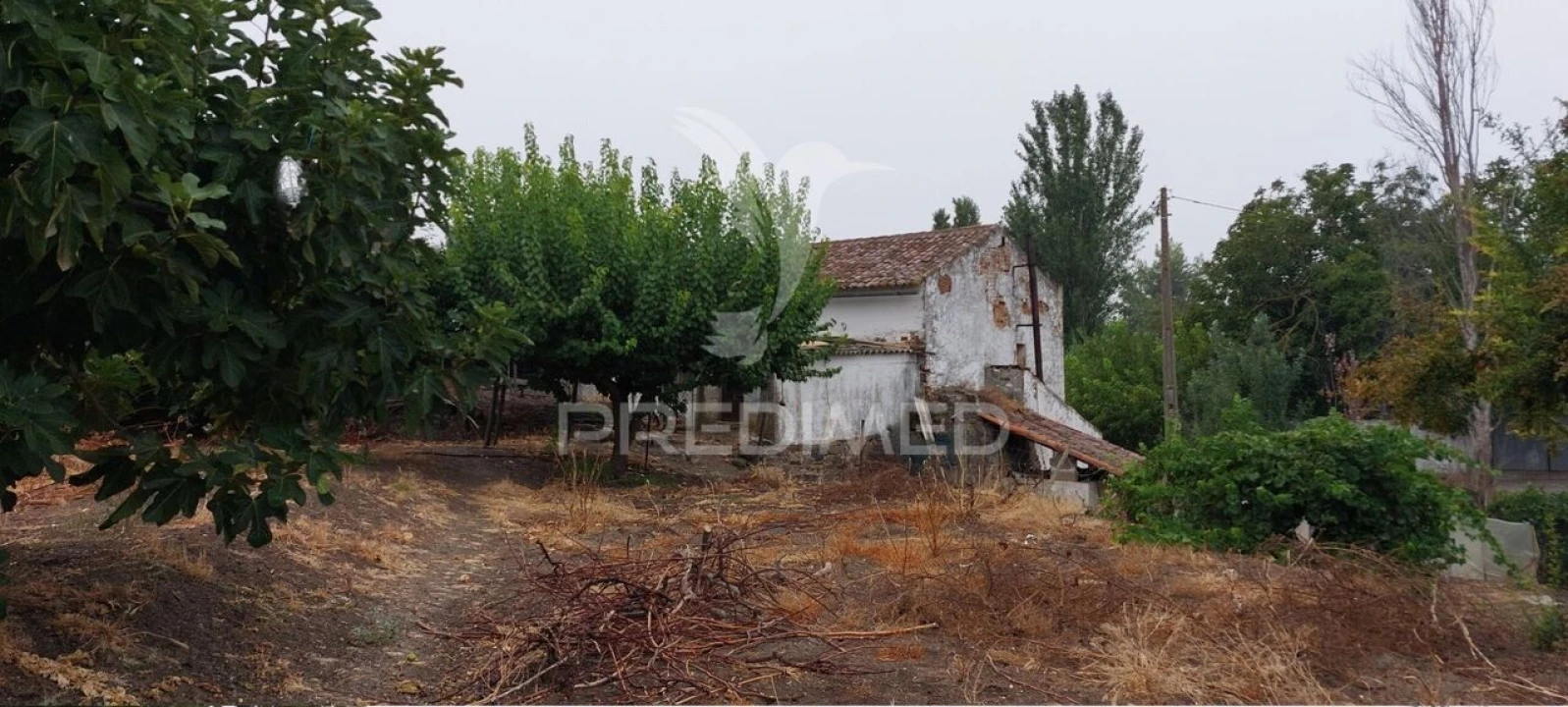 Armazém para Venda em Beringel Foto 26