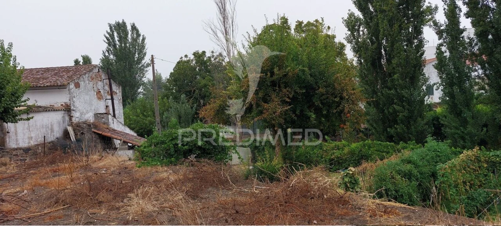 Armazém para Venda em Beringel Foto 27