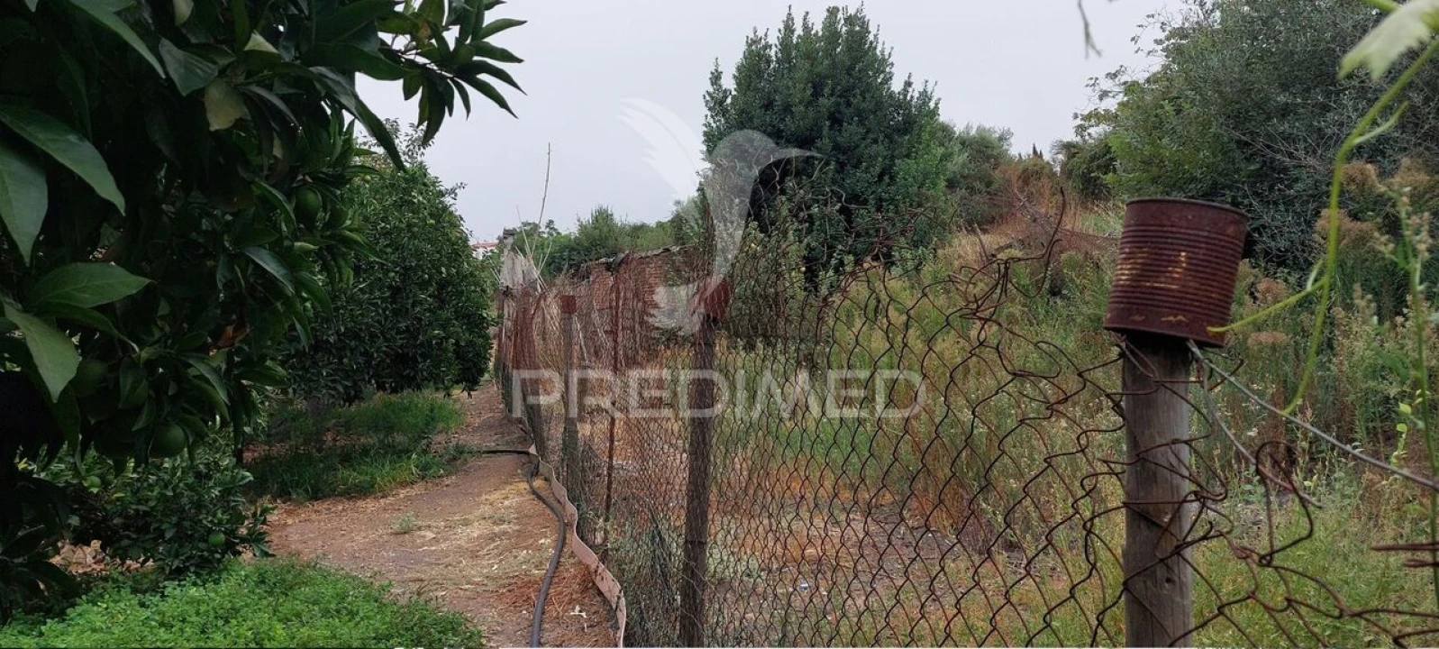 Armazém para Venda em Beringel Foto 21