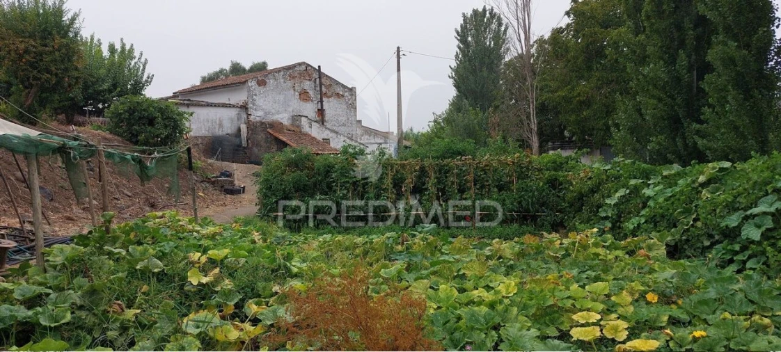 Armazém para Venda em Beringel Foto 23