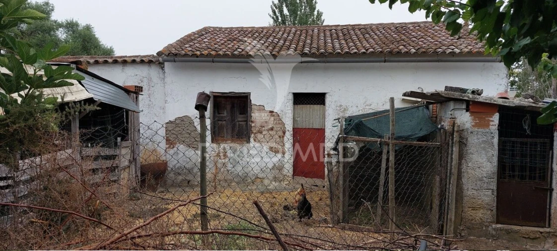 Armazém para Venda em Beringel Foto 15