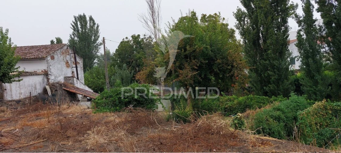 Armazém para Venda em Beringel Foto 27