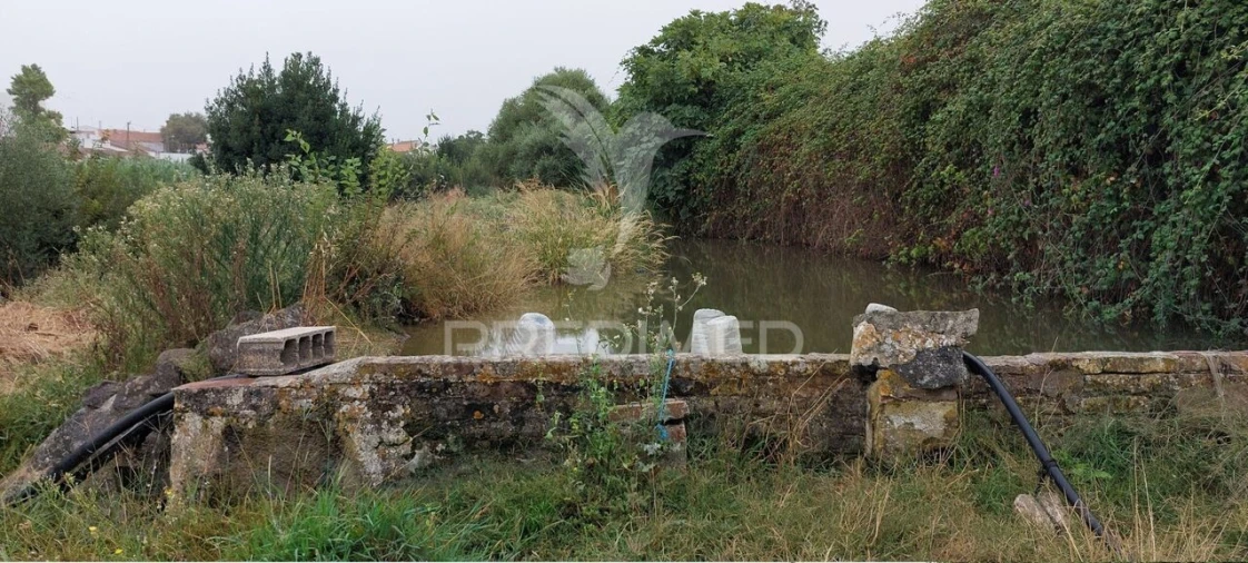 Armazém para Venda em Beringel Foto 25