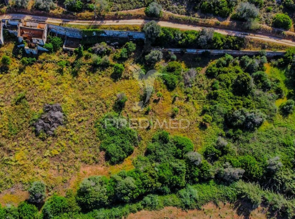 Terreno para Venda em Guia Foto 23