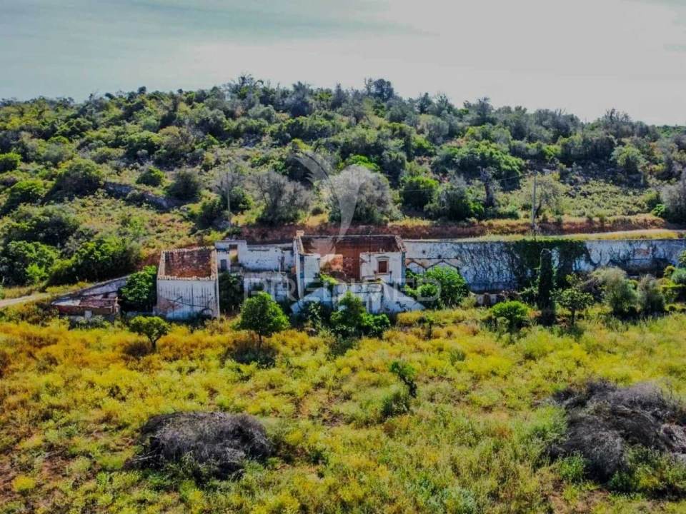 Terreno para Venda em Guia Foto 21