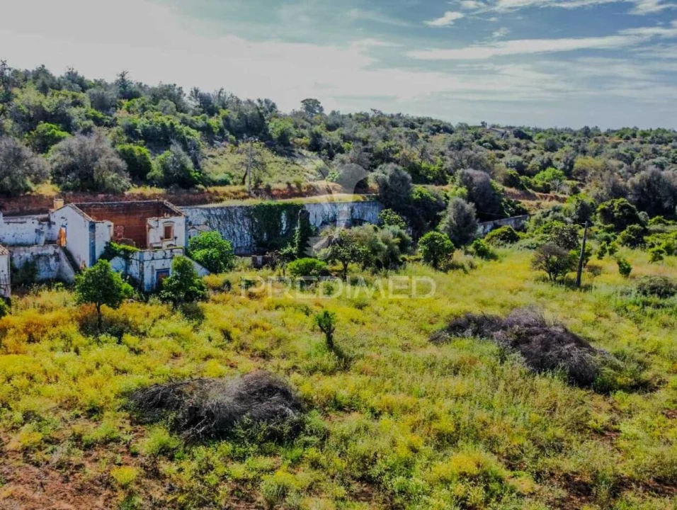 Terreno para Venda em Guia Foto 27