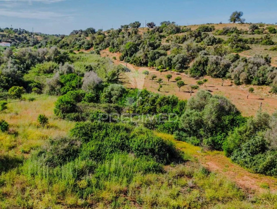 Terreno para Venda em Guia Foto 2