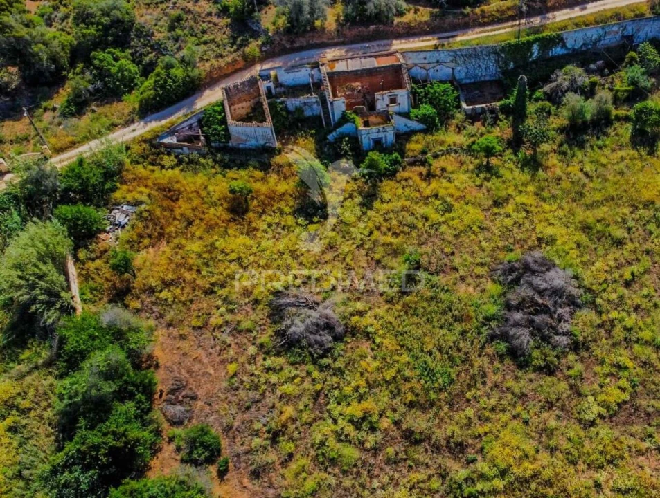 Terreno para Venda em Guia Foto 22