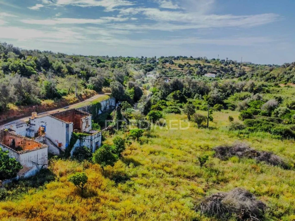 Terreno para Venda em Guia Foto 3