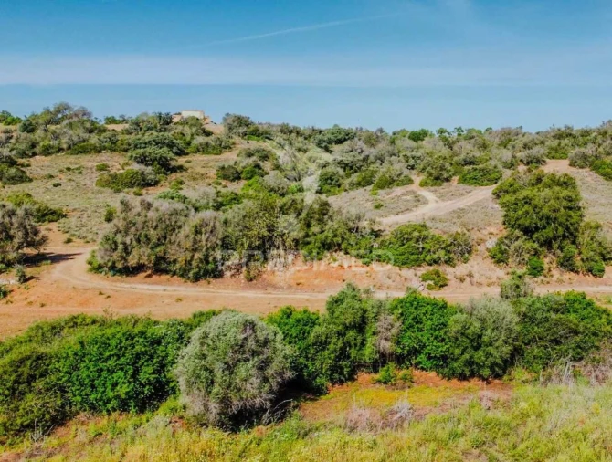 Terreno para Venda em Guia Foto 4